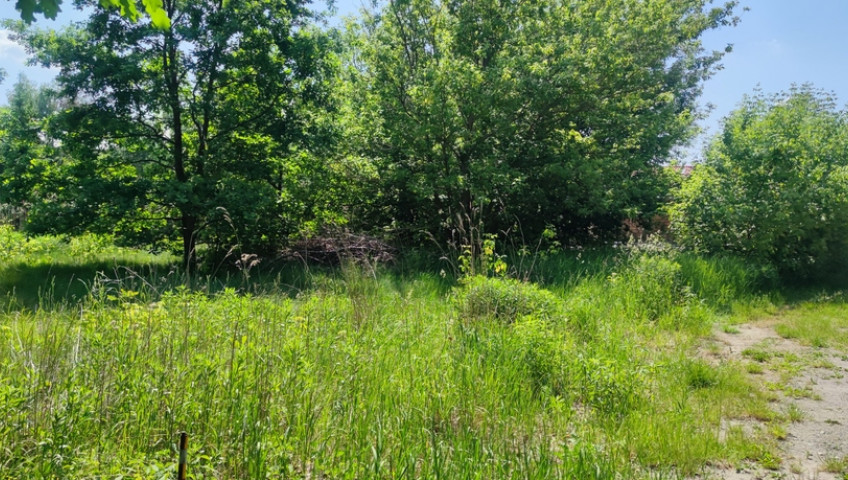 Działka Sprzedaż Wiktorów